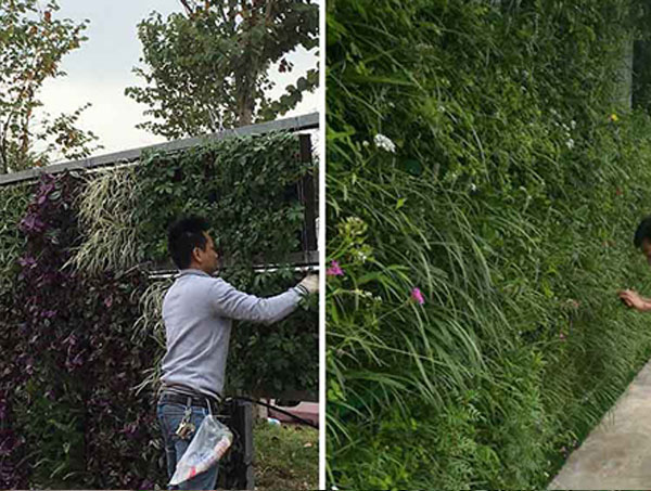 安顺立体绿化设计的核心原则