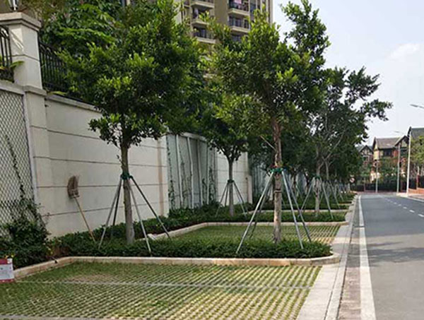 安顺植草砖的功能优势与实际应用 城市绿化铺装专用建材