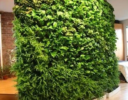 安顺立体绿化材料的植物搭配设计